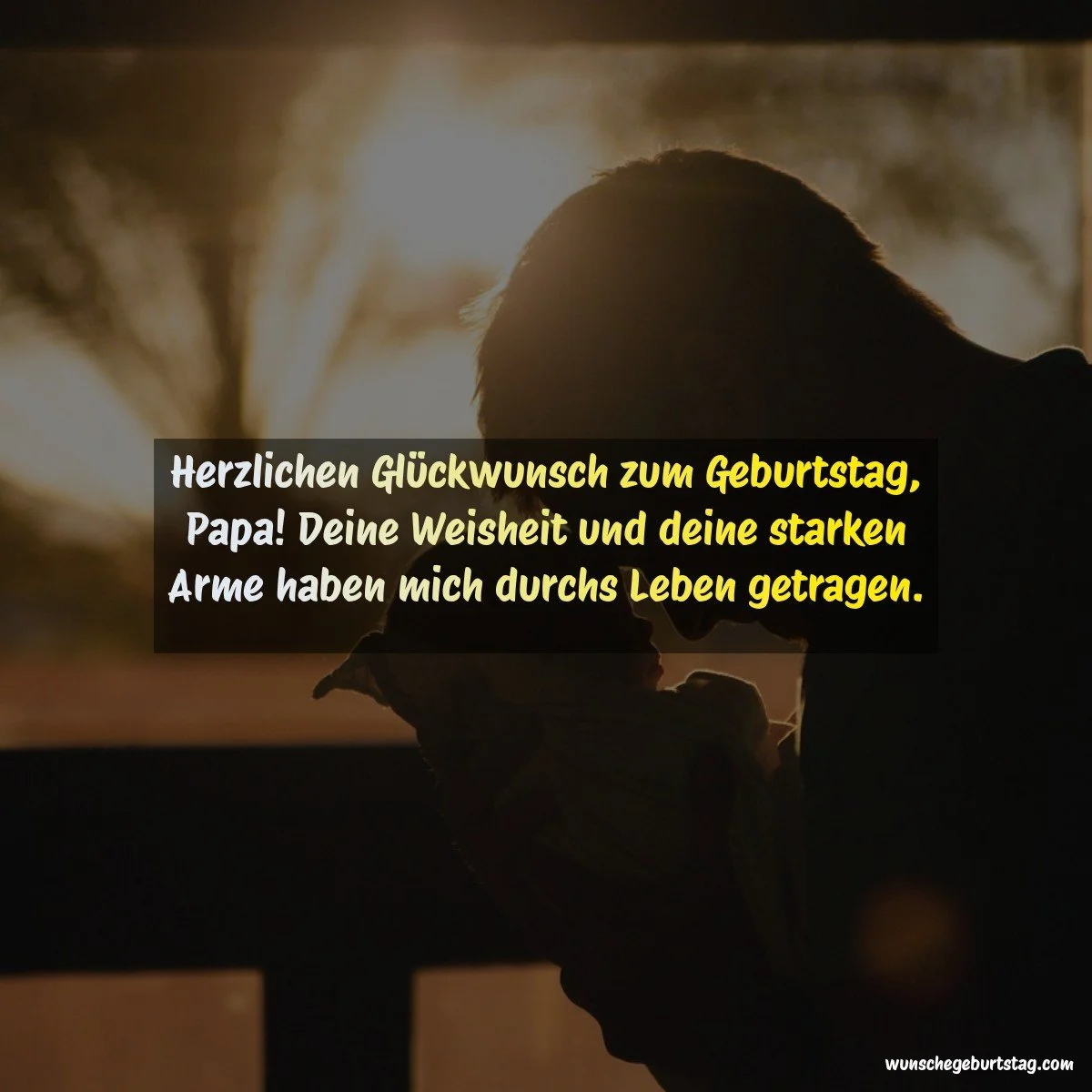 Herzlichen Glückwunsch zum Geburtstag, Papa! Deine Weisheit und deine starken Arme haben mich durchs - Geburtstagswünsche Vater