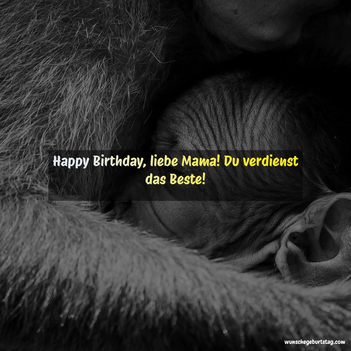 Happy Birthday, liebe Mama! Du verdienst das Beste! - Geburtstagswünsche Mutter